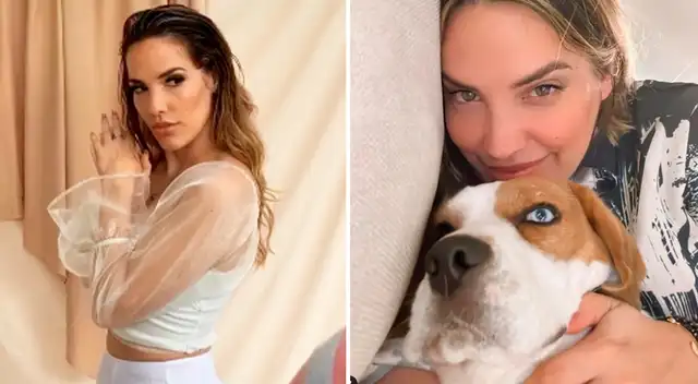 Cassandra Sánchez tomó radical decisión con sus mascotas. Cassandra Sánchez tomó radical decisión con sus mascotas.