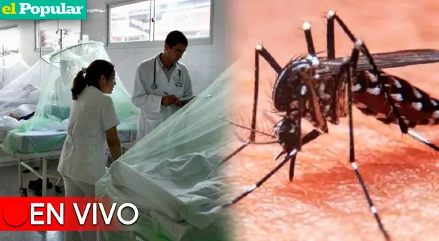 Dengue se dispara en el Perú y alcanza cifras sin precedentes