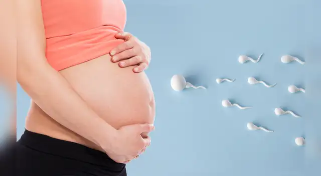 Es importante cumplir con el calendario de los chequeos médicos, exámenes y ecografías.