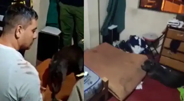 Paulo Huansi Loayza logró ser rescatado por la Policía Nacional en SJM tras ser secuestrado en su restaurante de SJL.