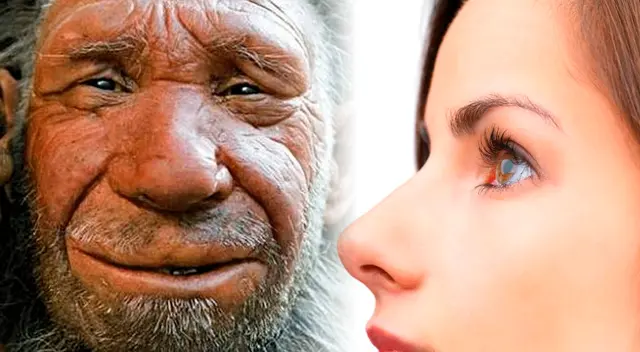 Esta herencia genética pudo ayudar a que nuestros antepasados se adaptaran a climas más fríos.