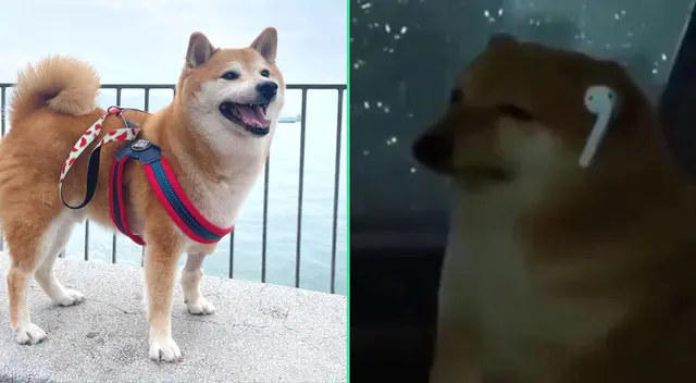 Sus fanáticos han enviado mensajes de apoyo.