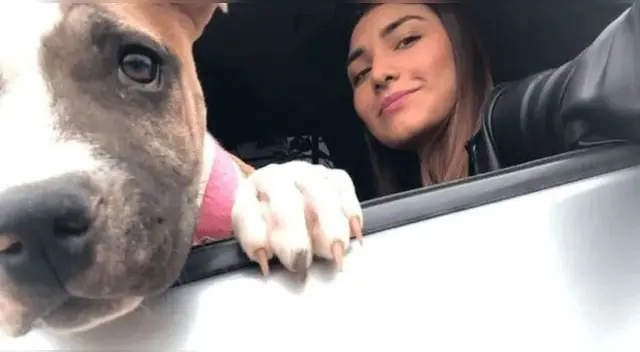 La perrita partió dos días después de que su dueña muriera en un accidente de tránsito en México.