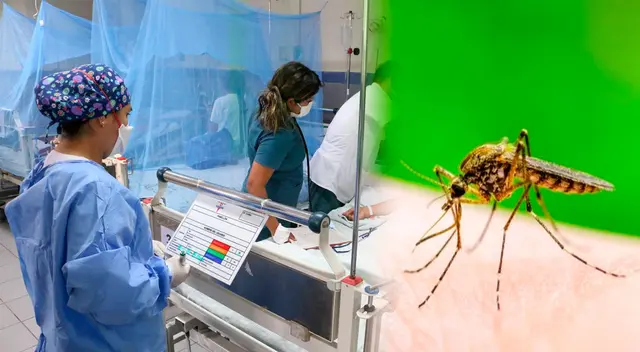 Los casos de dengue siguen en aumento y el suero sigue escaso. Los casos de dengue siguen en aumento y el suero sigue escaso.