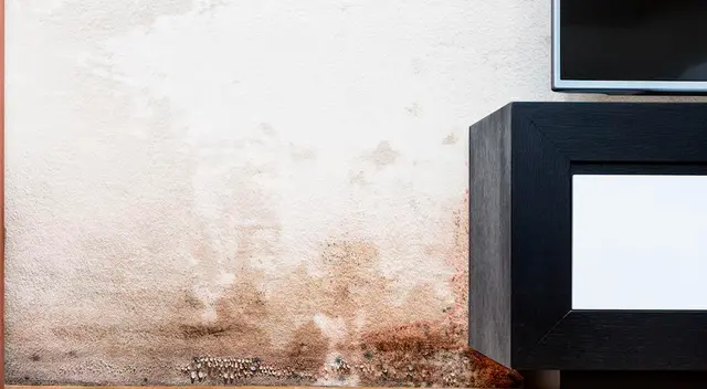 Conoce los mejores consejos para enfrentar el problema de las paredes húmedas en el hogar.