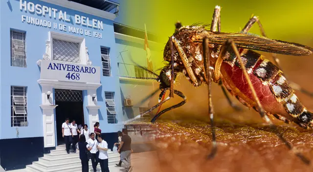 Dos personas más fallecen a causa del dengue.