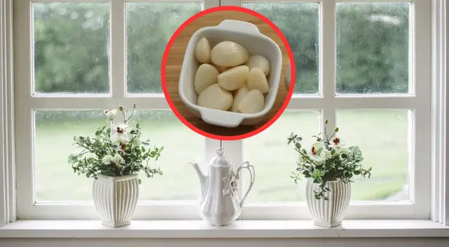 Conoce por qué debes colocar un diente de ajo en la ventana. Conoce por qué debes colocar un diente de ajo en la ventana.