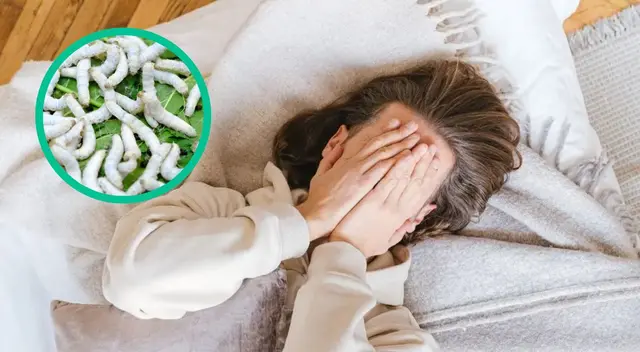 ¿Soñar con gusanos es mal presagio?