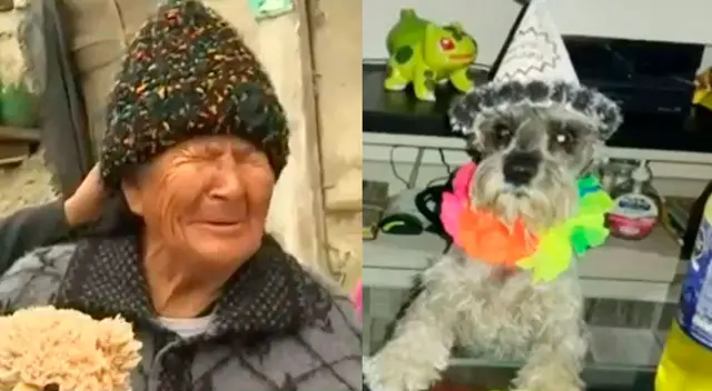 Mamita Albina trajo a "Raylu" desde Ayacucho y en la capital se ha perdido. Mamita Albina trajo a "Raylu" desde Ayacucho y en la capital se ha perdido.