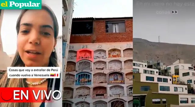 No te puedes perder los videos virales más graciosos de TikTok.