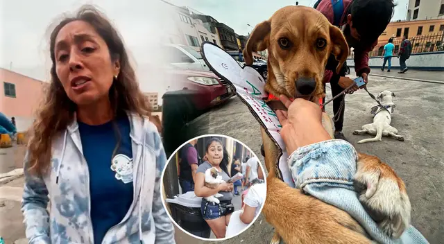 Aseguran que enviaron varias cartas a la MML, pero no han tenido respuesta. Aseguran que enviaron varias cartas a la MML, pero no han tenido respuesta.