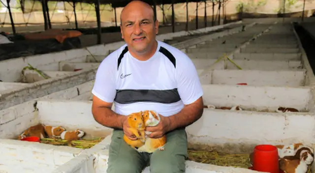Criador señala que de las heces del cuy se puede mejorar los campos de cultivo.
