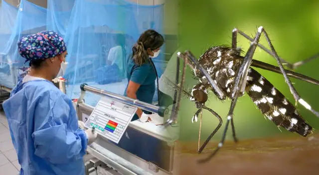 Menor perdió la vida a causa del dengue. Menor perdió la vida a causa del dengue.