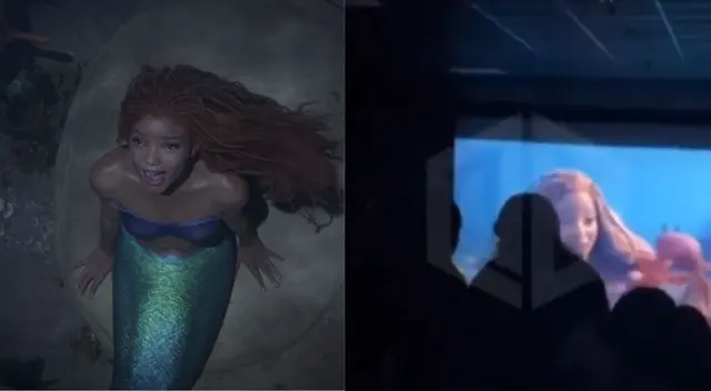 El caso sucedió en Estados Unidos. La pareja en vez de aceptar su error, tuvieron una actitud desafiante con una señora que le reclamó por acto obsceno. El caso sucedió en Estados Unidos. La pareja en vez de aceptar su error, tuvieron una actitud desafiante con una señora que le reclamó por acto obsceno.