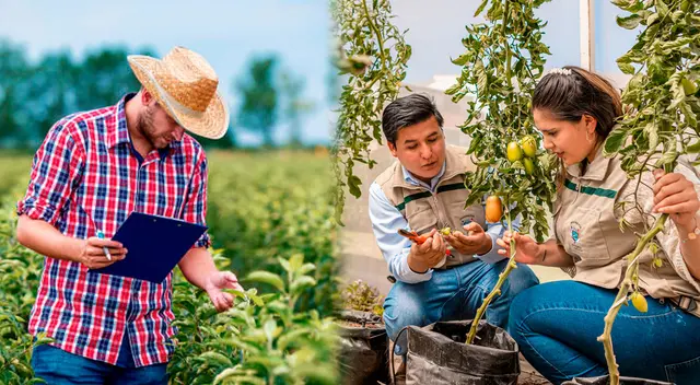 La Ingeniería Agrónoma tiene una alta demanda laboral dentro del país como fuera.