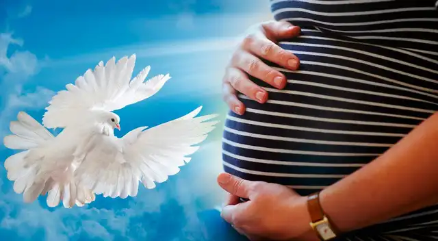 La futura madre remarcó en varias oportunidades que no había estado con ningún hombre. La futura madre remarcó en varias oportunidades que no había estado con ningún hombre.