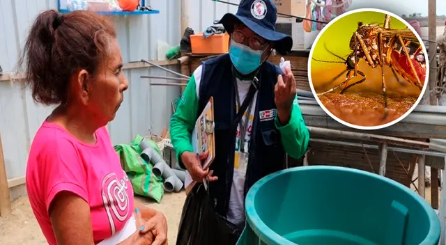 Casos de dengue podrían llegar a la meseta. Casos de dengue podrían llegar a la meseta.