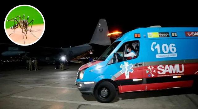 Los menores fueron trasladados con ayuda de la FAP. Los menores fueron trasladados con ayuda de la FAP.