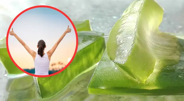 La sábila o aloe vera brinda grandes beneficios a diferentes partes del cuerpo humano.