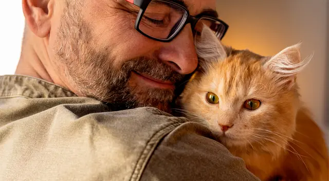 Una mejor alimentación para un gato esterilizado. Una mejor alimentación para un gato esterilizado.