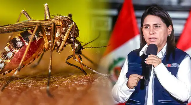 Ministra de Salud mo renunciará al cargo por casos de dengue.