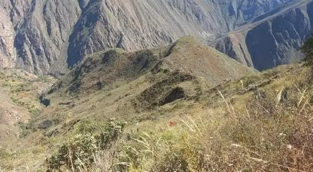 Cinco músicos mueren y otros cinco resultan heridos en accidente. Cinco músicos mueren y otros cinco resultan heridos en accidente.