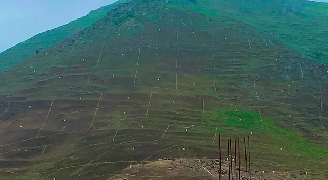 La vida en los ecosistemas de Pachacamac estaría amenazado por lotización de terrenos.