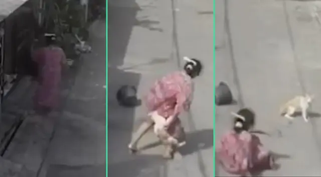 El gato decidió cobrar venganza contra la mujer, siendo viral en TikTok. El gato decidió cobrar venganza contra la mujer, siendo viral en TikTok.