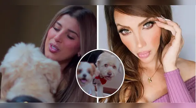 Yahaira Plasencia presenta a sus mascotas. Yahaira Plasencia presenta a sus mascotas.