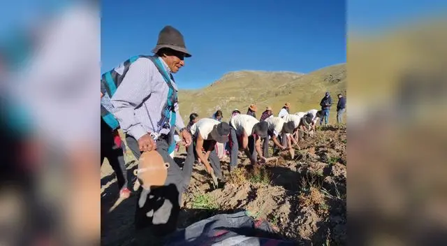 Comunidades campesinas recuperan 226 variedades de papa Comunidades campesinas recuperan 226 variedades de papa