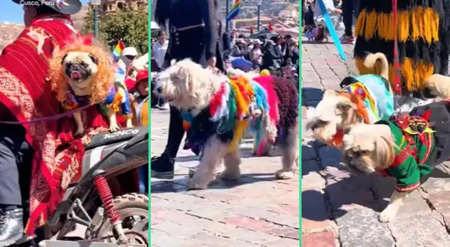El pasacalle canino realizado en cusco fue viral en TikTok.