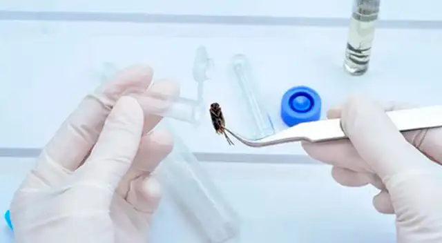 Rusia considera que el accionar de Estados Unidos tiene carácter militar.