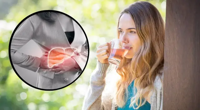 Descubre los efectos que brinda la menta y boldo al hígado graso.