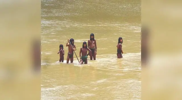 Miles firman petición de Avaaz en apoyo a indígenas en aislamiento en Perú