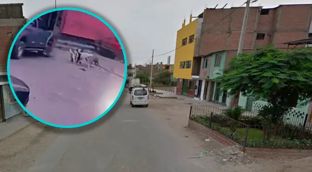 Señor salió de su casa para alimentar a perros de SJM y termina siendo atropellado por su vecino.