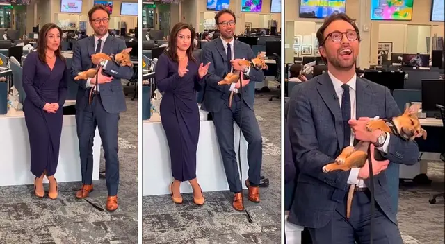 ¡¡Que tierno!! El perrito se quedó dormido en TV en vivo