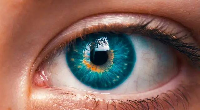 Conoce los mejores ejercicios más sencillos para mejorar la vista. Conoce los mejores ejercicios más sencillos para mejorar la vista.