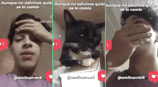 La reacción del gato fue viral en TikTok. La reacción del gato fue viral en TikTok.