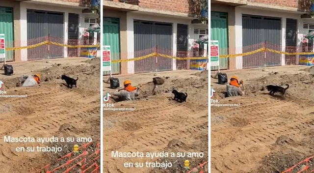 La curiosa escena es viral en la app china. La curiosa escena es viral en la app china.