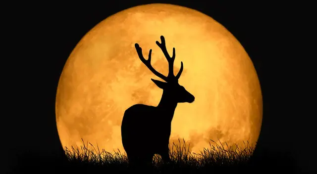 El evento conocido como "Superluna del Ciervo" sucederá este lunes 3 de julio del 2023.