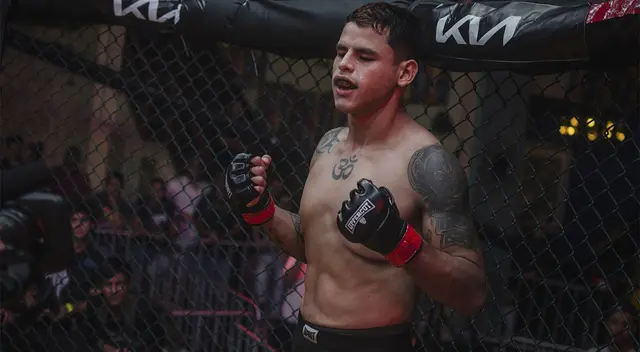 Artes marciales mixtas Artes marciales mixtas