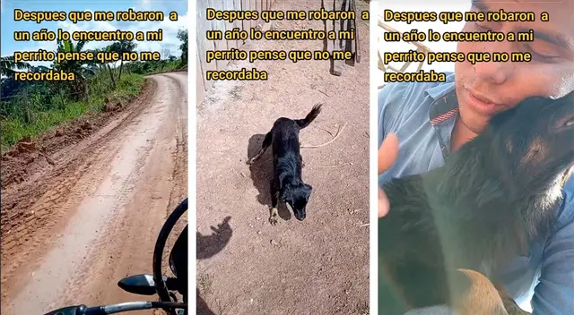 Joven recupera a su perrito después de un año separados