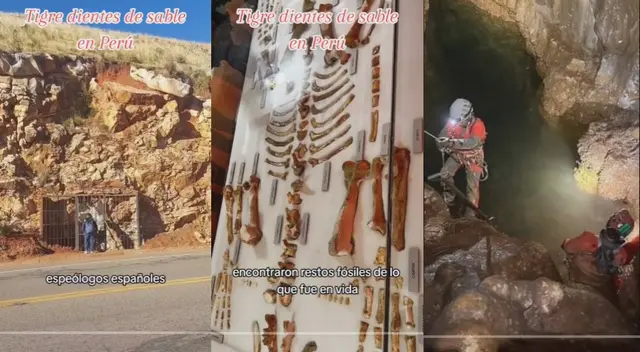 Caverna donde descubrieron restos de tigre dientes de sable.