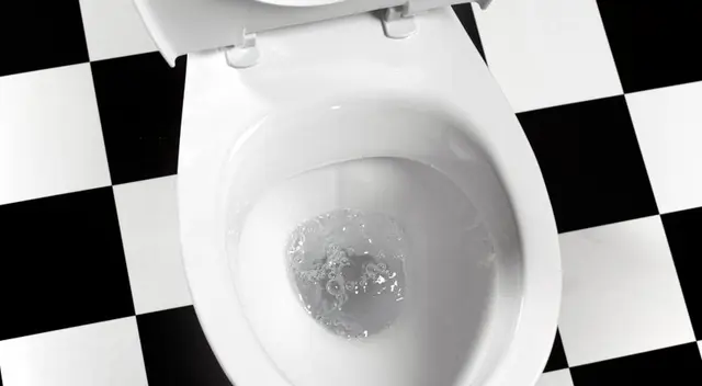 Descubre por qué es peligroso para tu salud jalar el inodoro con la tapa abierta.