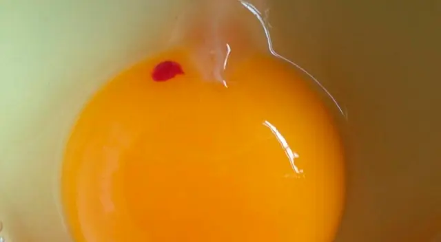 Significado espiritual de encontrar sangre en el huevo.