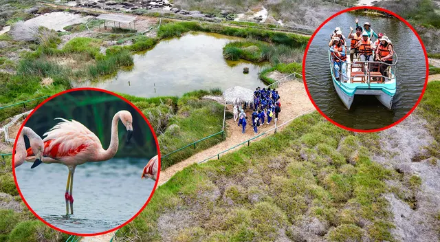 Pantanos de Villa podrá ser visitado solo con presentar el DNI.