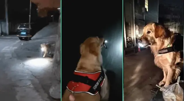 El perrito fue viral en TikTok.