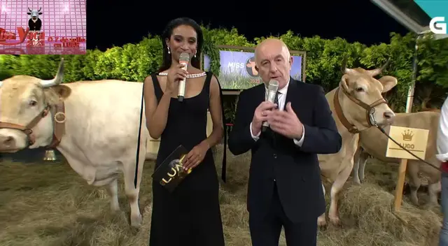 La vaca de A Coruña fue premiada con 3000 euros.