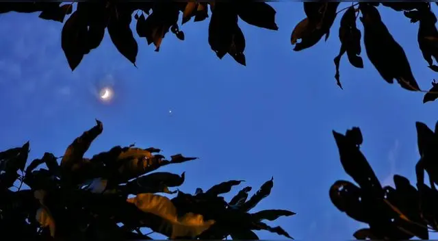 La razón por la cual Júpiter puede parecer muy brillante es debido a su tamaño y composición.