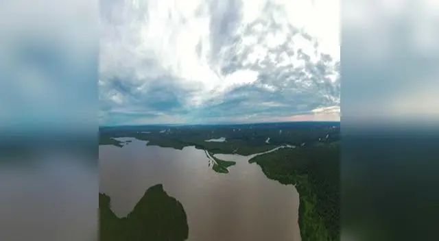 Reservas de carbono de la Amazonía tiene potencial para mitigar el cambio climático